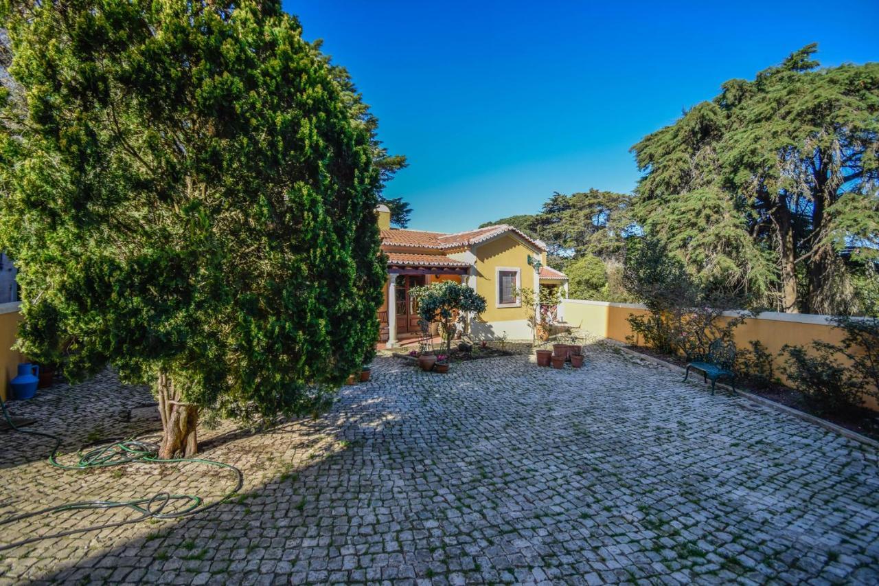 Casa Das Rosas Villa Sintra Esterno foto